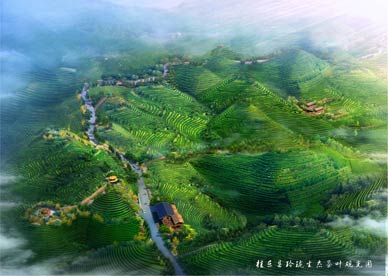 桂東縣玲瓏生態茶葉觀光園總體規劃