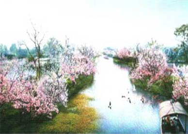 星海湖濕地生態規劃與景觀設計